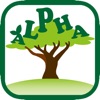 Alpha 教育