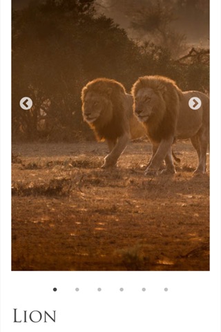 Londolozi screenshot 2