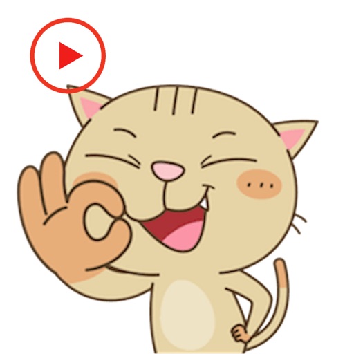 Kitty Cat Animated icon