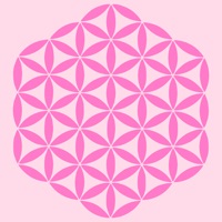 LiveFood  Новосибирск