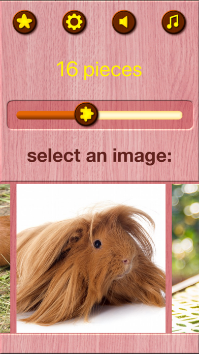 Guinea Pig Kids Jigsaw Puzzle screenshot 4