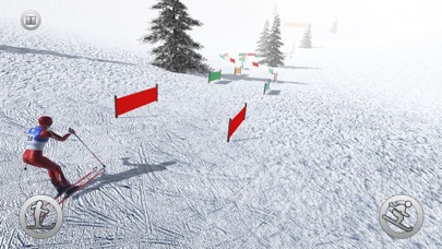 Snow Skiing Adventure 3D screenshot 2