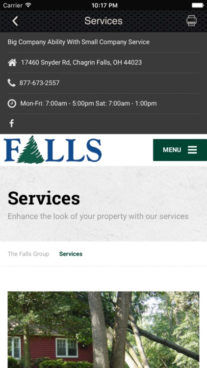 Falls Tree Experts