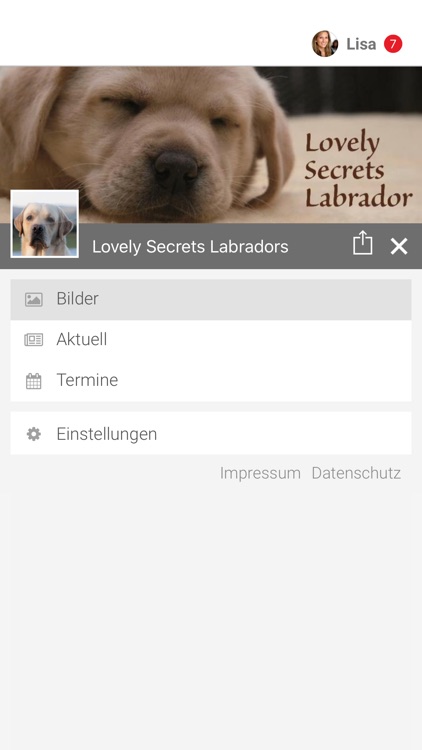 Lovely Secrets Labradors