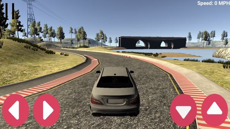 Car Expedition Lite screenshot-4