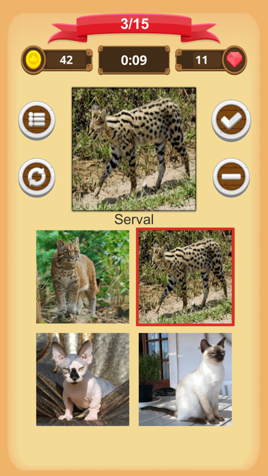 Cats - Quiz screenshot 4
