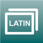 Lingua Latina 1 Flash Cards