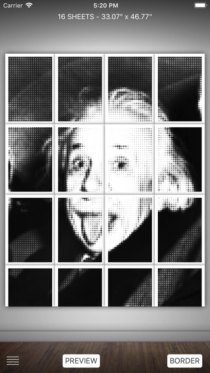 Raster Pro