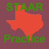 TX STAAR Biology Practice Test