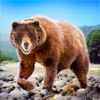 Bear Family Clan Life 3D