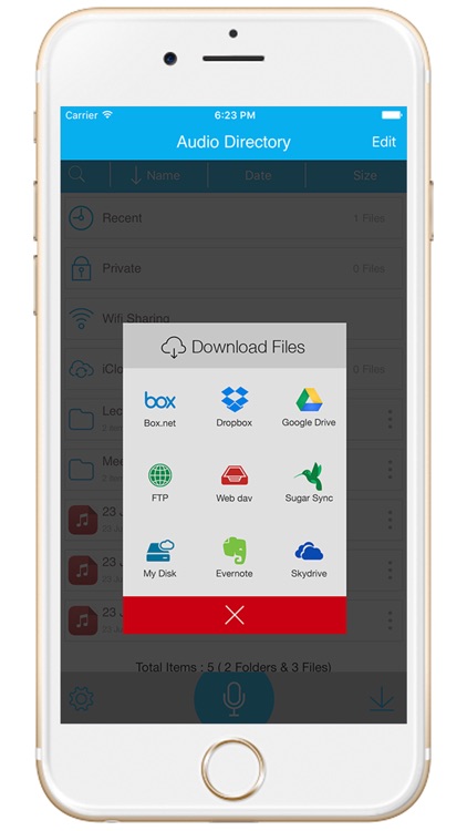 Audio Recorder HD & Voice Memo screenshot-4
