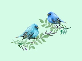 Watercolor Beautiful Birds Sticker Pack