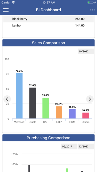 BI Dashboard 360 screenshot 4