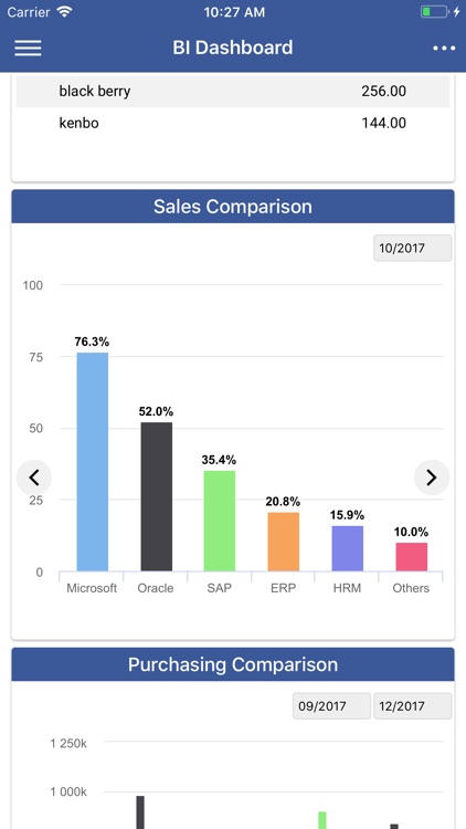 BI Dashboard 360 screenshot-3