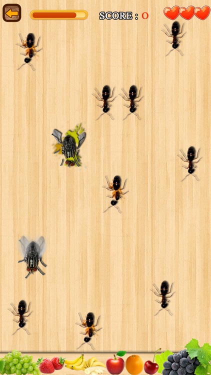Ant Smasher game : 2018 games screenshot-3