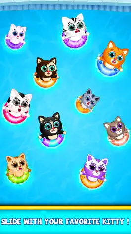 Game screenshot Kitty Pool Slide Fun hack