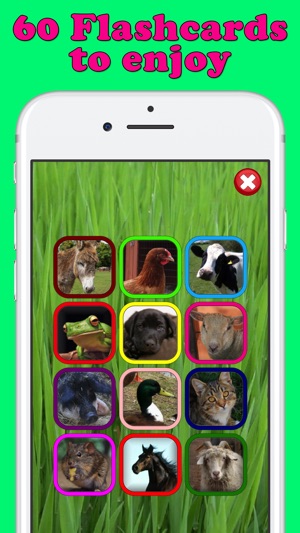 Play & Learn Animal Flashcards(圖3)-速報App