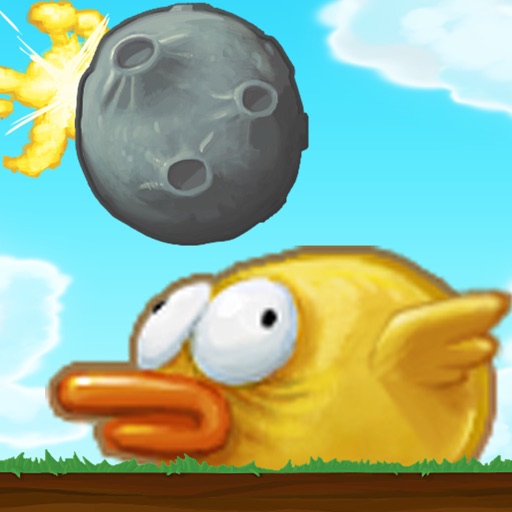 Wacky Quackers Icon