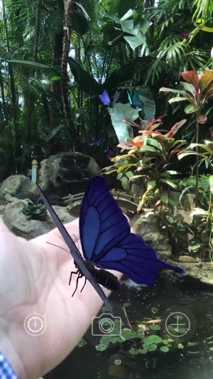 AR Butterflies(圖1)-速報App