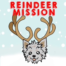 Activities of Reindeer Mission