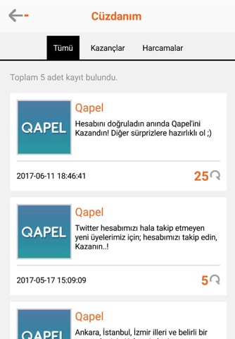 Qapel screenshot 4