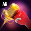 Sing AR Fight