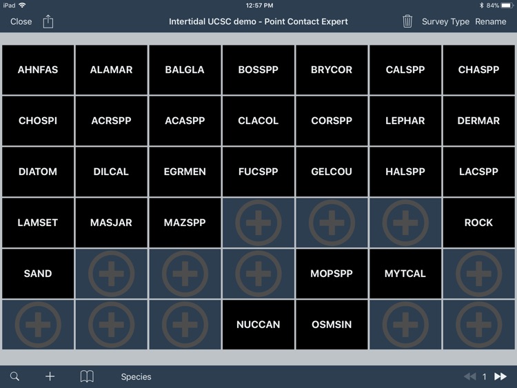 Point Contact CBS