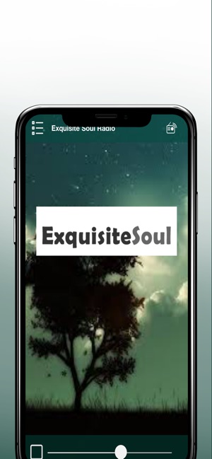 Exquisite Soul Radio(圖4)-速報App