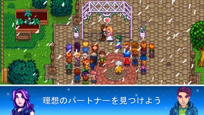 Stardew Valley 「スターデュ... screenshot1