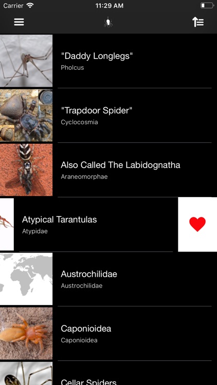 Spiders 2.0