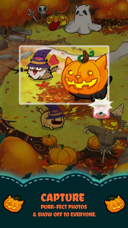 Fancy Cats - Puzzle & Kitties