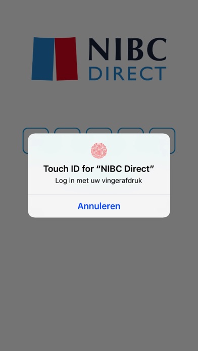 NIBC Hypotheken screenshot 4