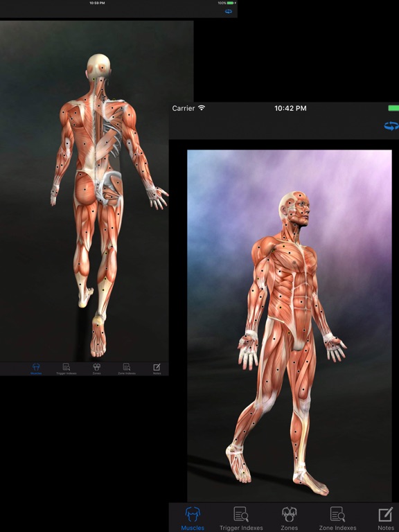 Muscle Trigger Points: Guide & Referenceのおすすめ画像1