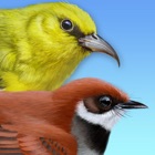 Top 28 Reference Apps Like iBird Hawaii & Palau Guide - Best Alternatives
