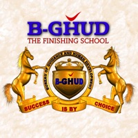 BGHUD pour PC