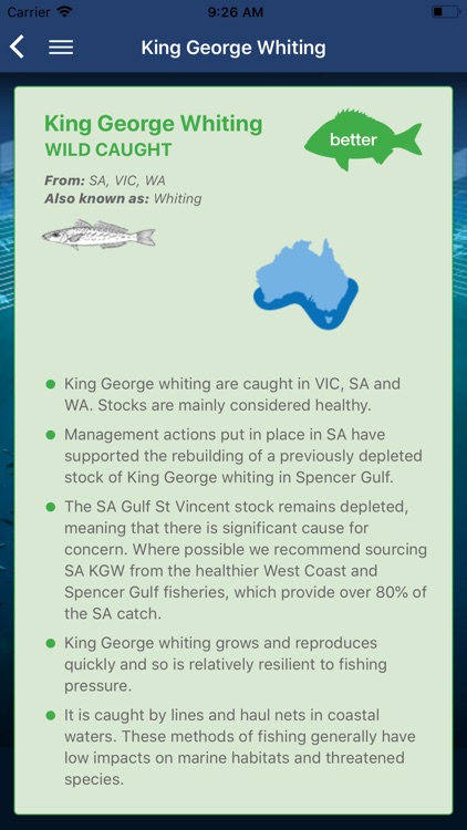 Sustainable Seafood Guide