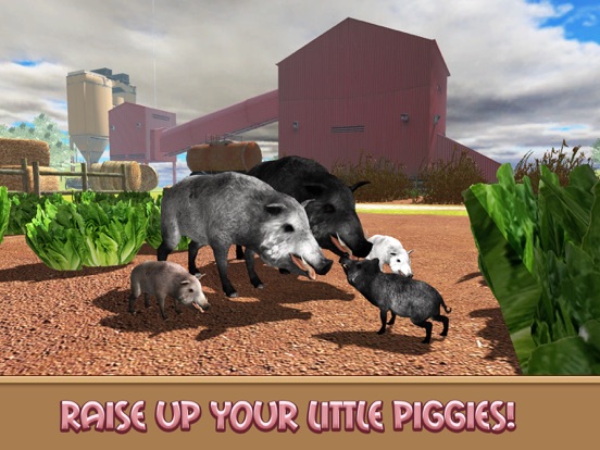 家の豚シミュレーターの生活のおすすめ画像3