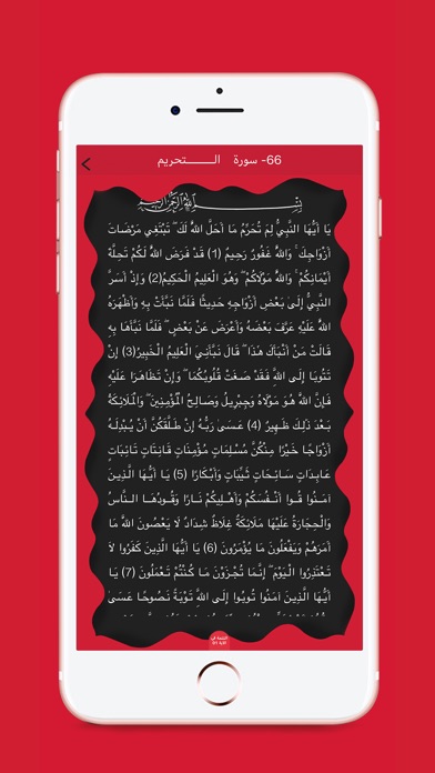 عبد الباسط عبد الصمد - قراَن screenshot 3