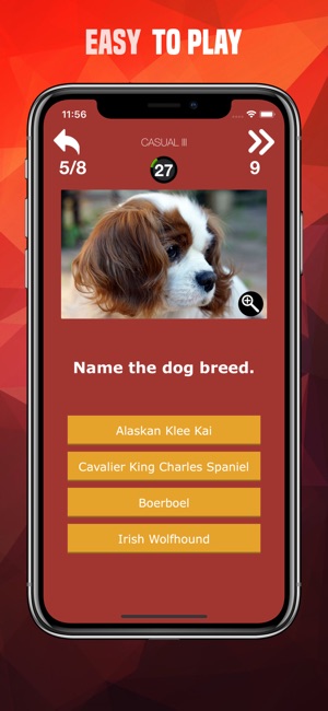 Dogs Trivia - Canis Breed Quiz(圖4)-速報App