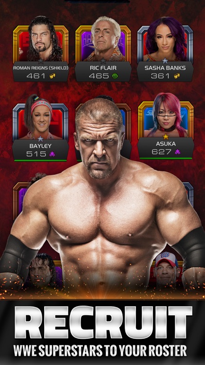 WWE Universe