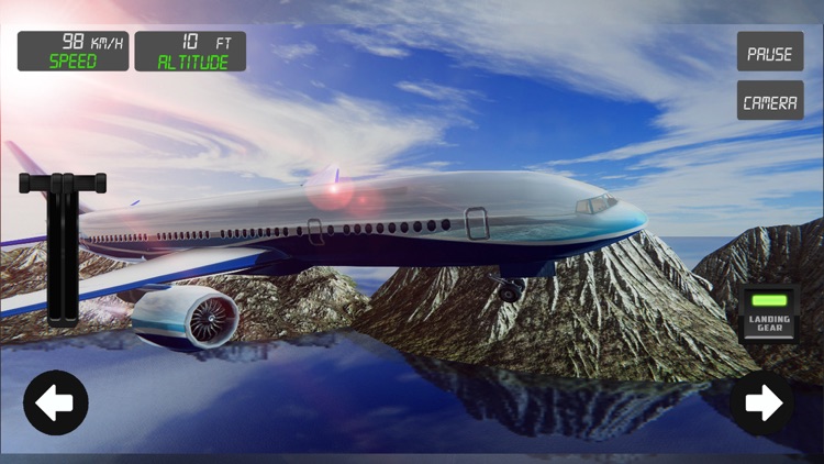 Pilot Airplane Flight 3D screenshot-4