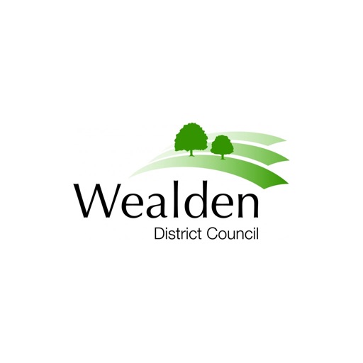 Wealden Council Payments