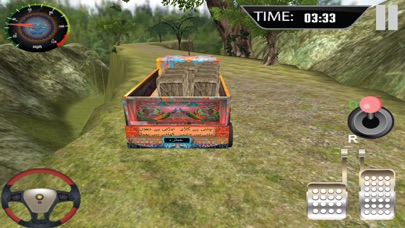 Cargo Truck Driver screenshot 1