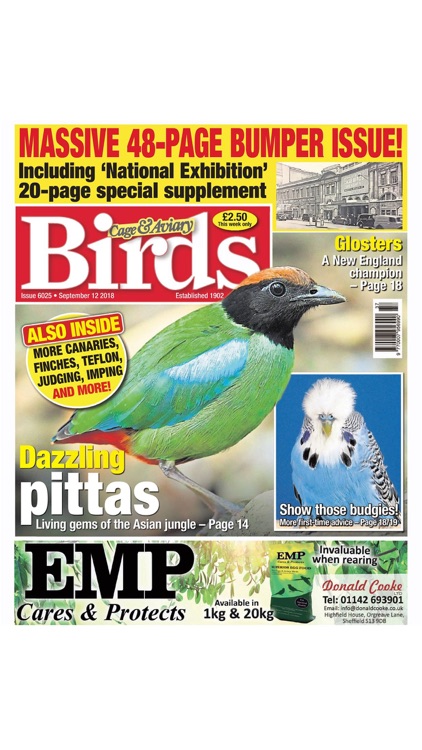 Cage & Aviary Birds