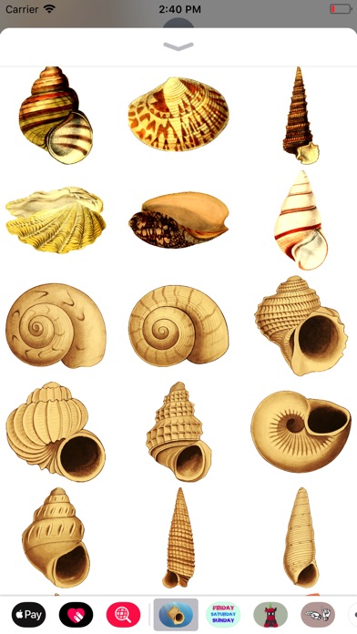 Sea Shells Stickers screenshot 3