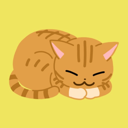 Chan the naughty cat icon