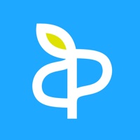 anki pocket-スマホで覚える単語帳アプリ-