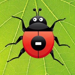 Ladybug Subtraction