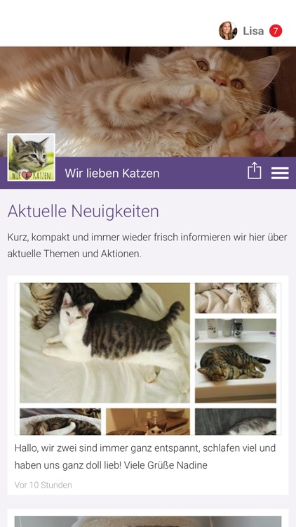 Wir lieben Katzen