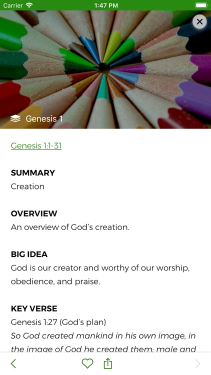 Bottom Line Bible